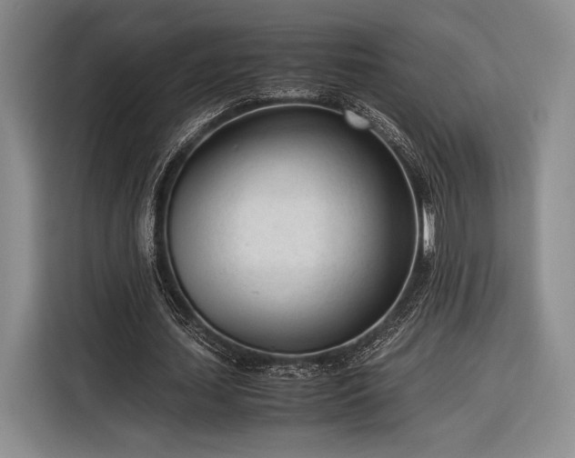 X0000116270627200912071043
