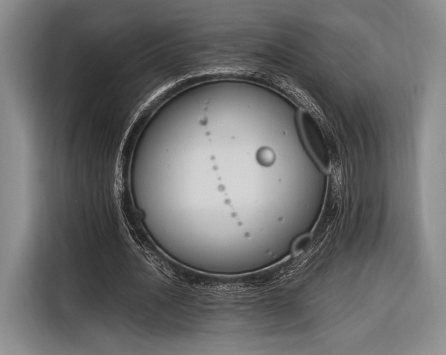 X0000116270628200912071043
