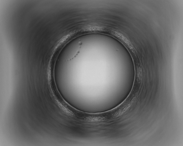 X0000116270629200912071043