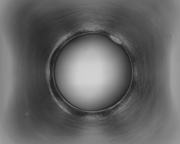 X0000116270630200912071043