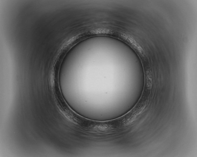 X0000116270631200912071043