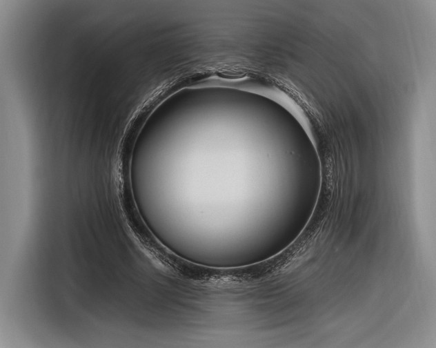 X0000116270634200912071043