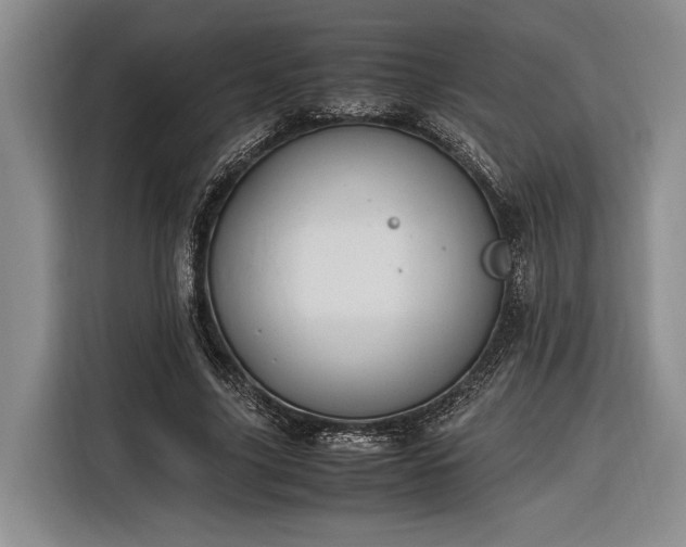 X0000116270635200912071043