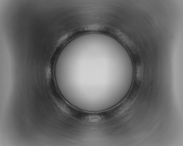 X0000116270636200912071043