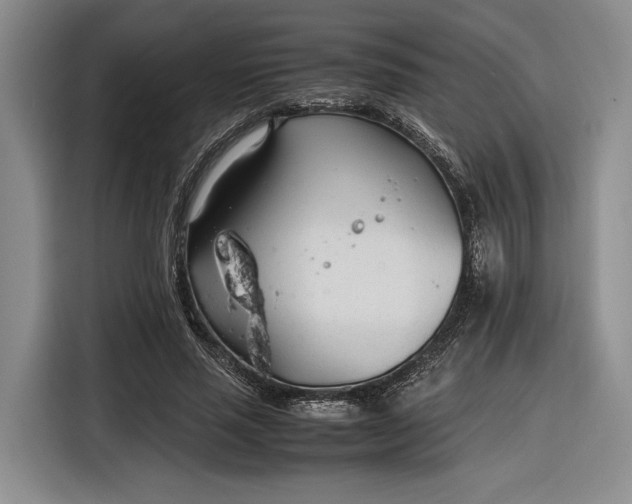 X0000116270637200912071043