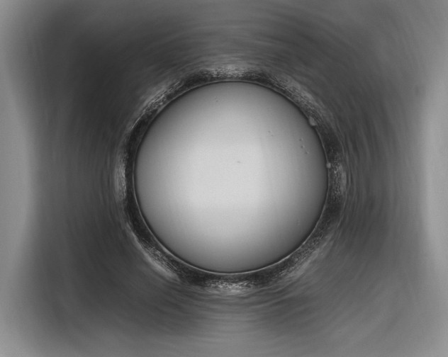 X0000116270638200912071043