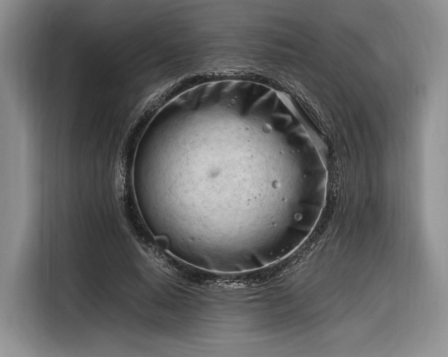 X0000116270640200912071043