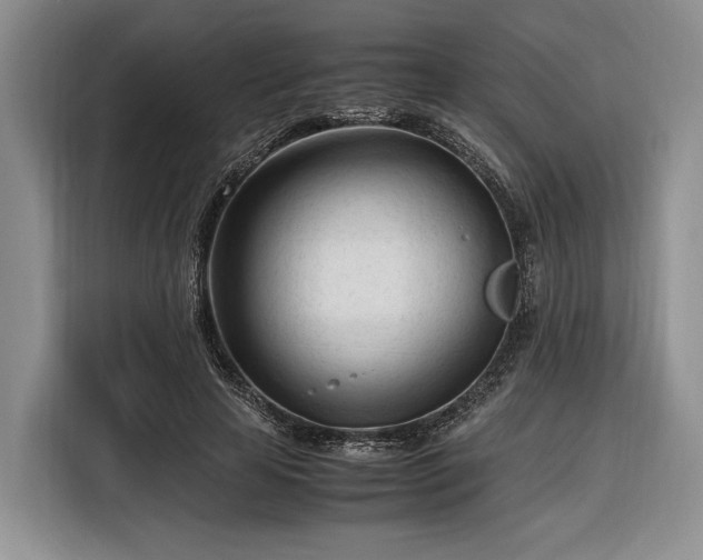 X0000116270641200912071043