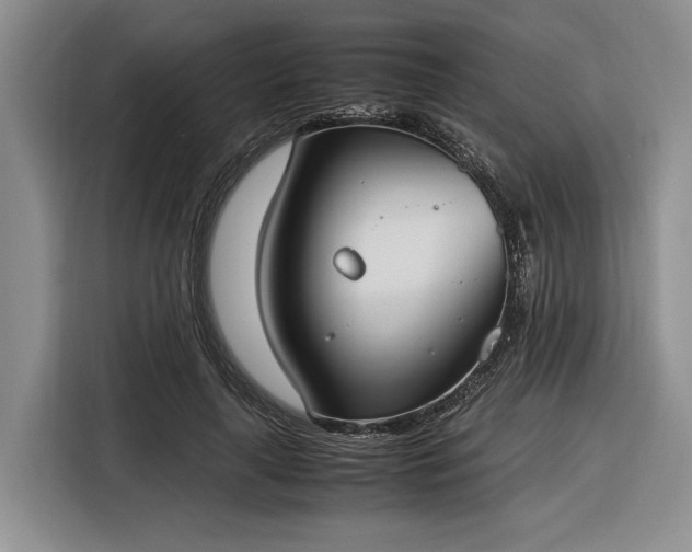 X0000116270643200912071043