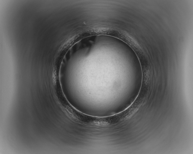 X0000116270644200912071043