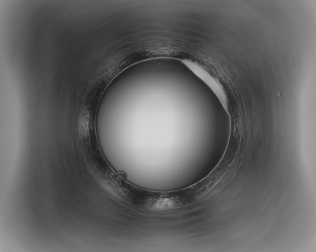 X0000116270647200912071043