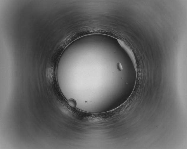 X0000116270648200912071043