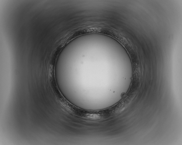 X0000116270649200912071043