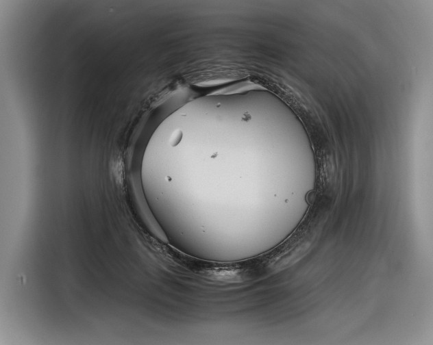 X0000116270651200912071043