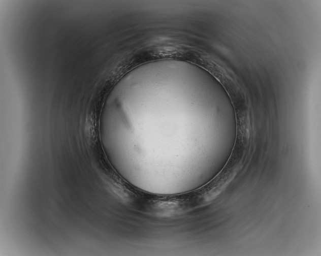 X0000116270653200912071043