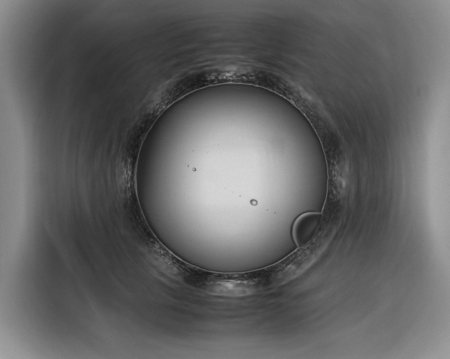 X0000116270657200912071043