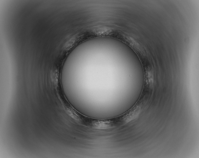X0000116270664200912071043