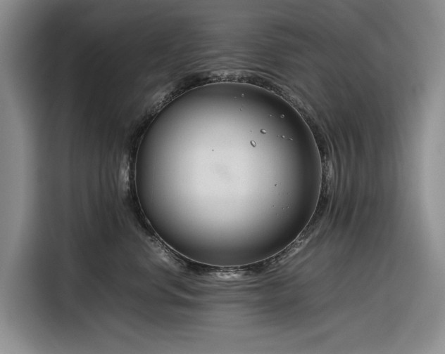 X0000116270668200912071043