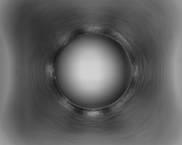 X0000116270669200912071043