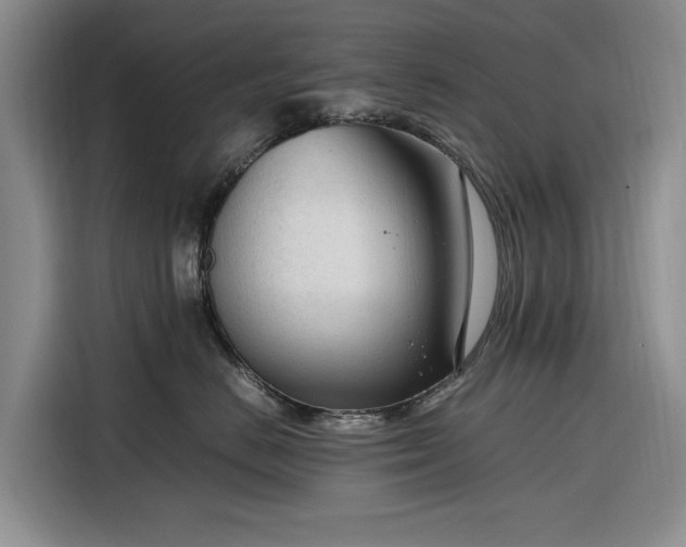 X0000116270670200912071043