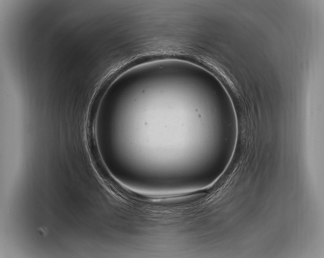 X0000116270677200912071043