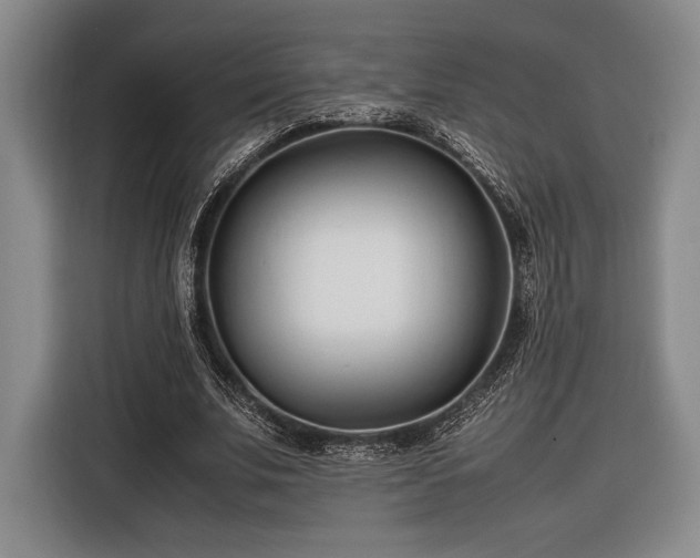 X0000116270679200912071043