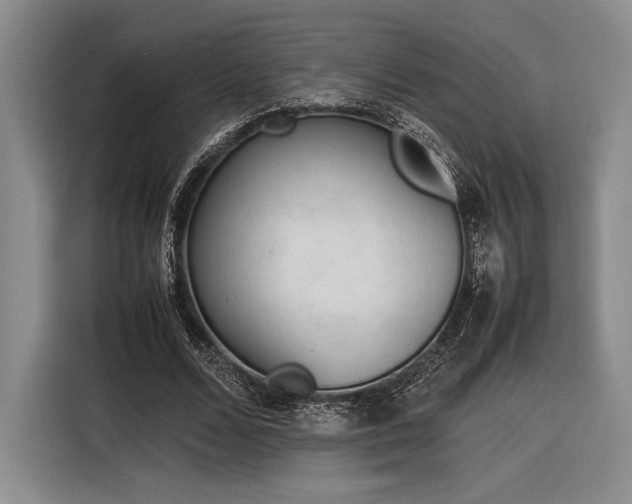 X0000116270680200912071043