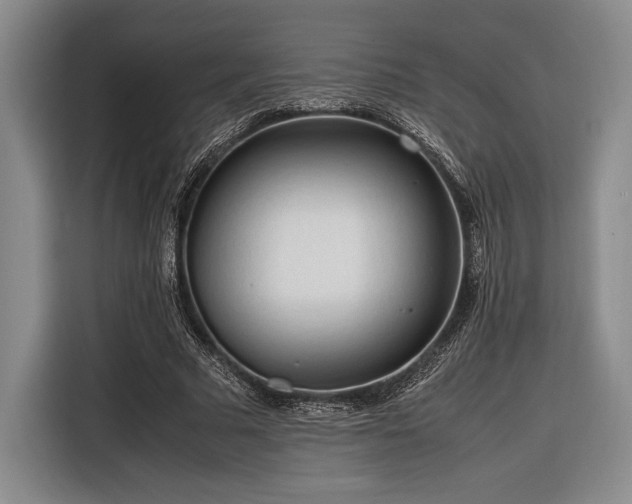 X0000116270681200912071043
