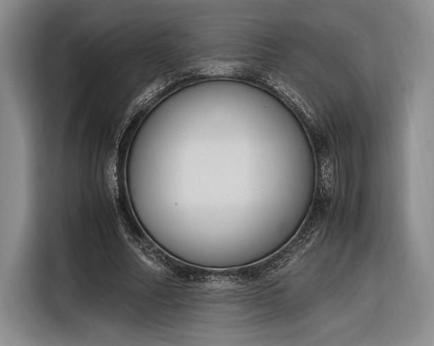 X0000116270682200912071043
