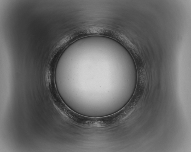 X0000116270683200912071043