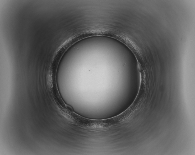 X0000116270684200912071043