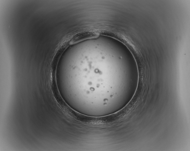 X0000116270685200912071043