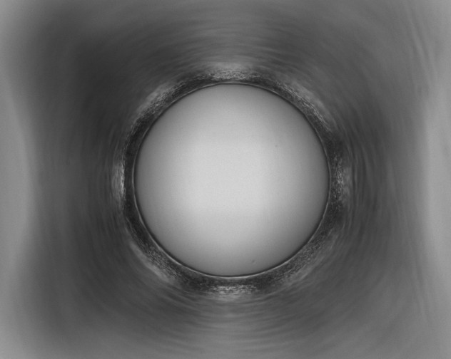 X0000116270686200912071043