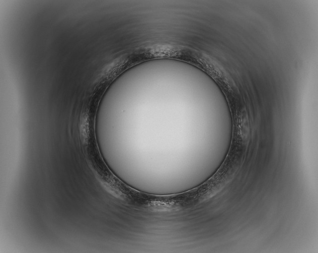 X0000116270690200912071043