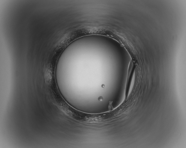X0000116270691200912071043