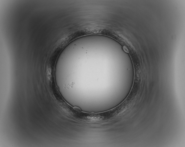 X0000116270693200912071042