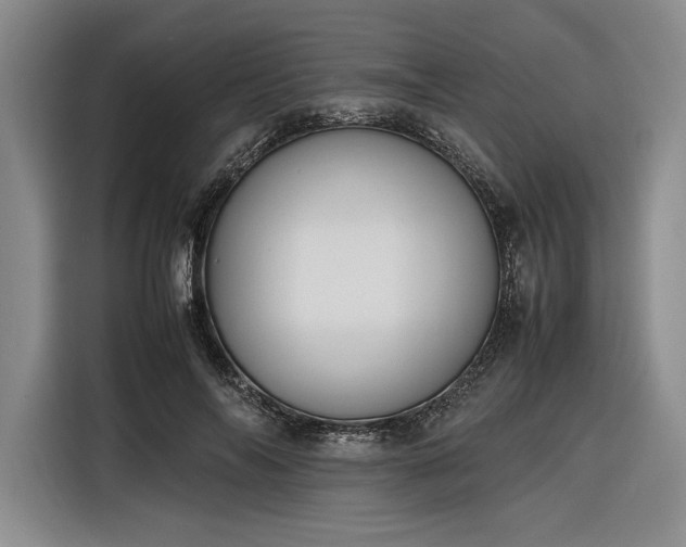 X0000116270694200912071042