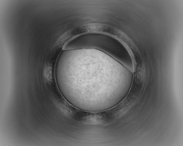 X0000116270696200912071042