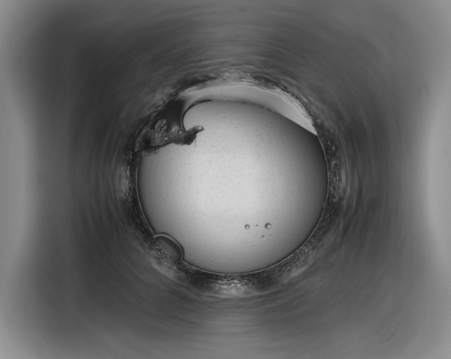 X0000116270704200912071042