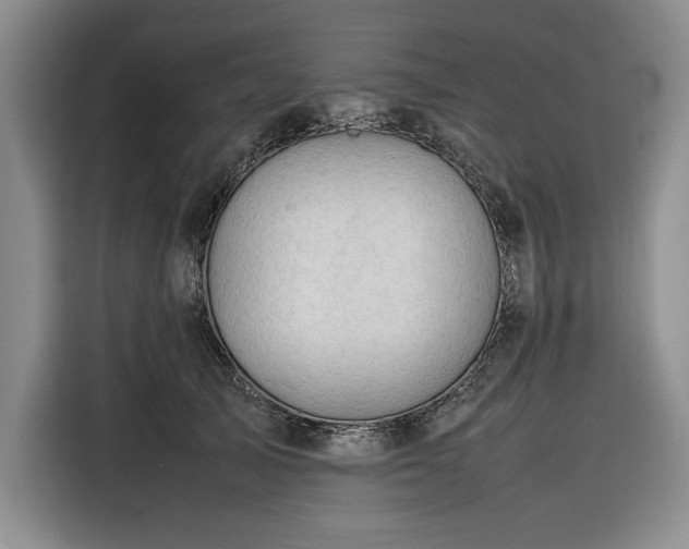 X0000116270705200912071042