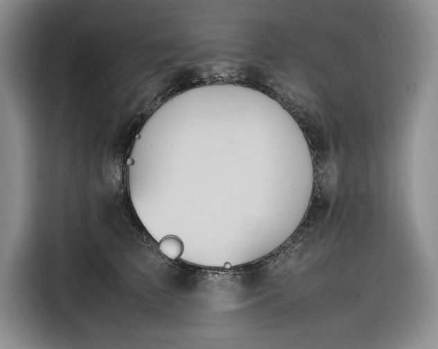 X0000116270709200912071042