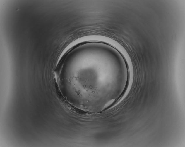 X0000116270715200912071042