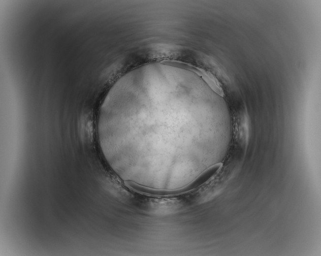 X0000116270716200912071042