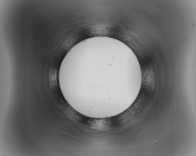 X0000116270717200912071042