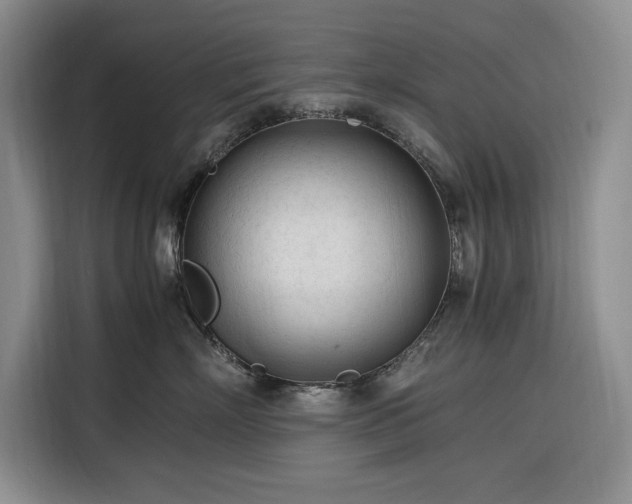 X0000116270718200912071042