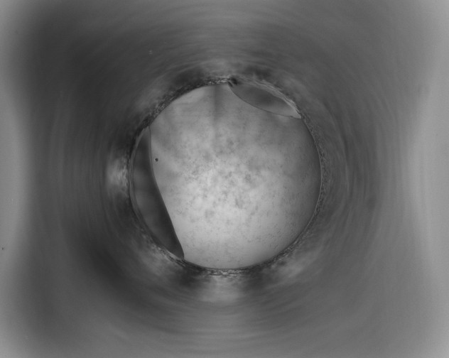X0000116270720200912071042