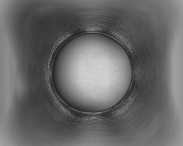 X0000116270721200912071042