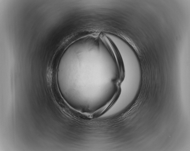 X0000116270722200912071042