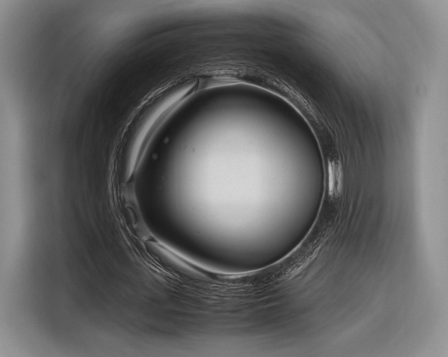 X0000116270723200912071042