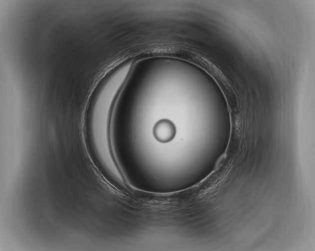 X0000116270725200912071042